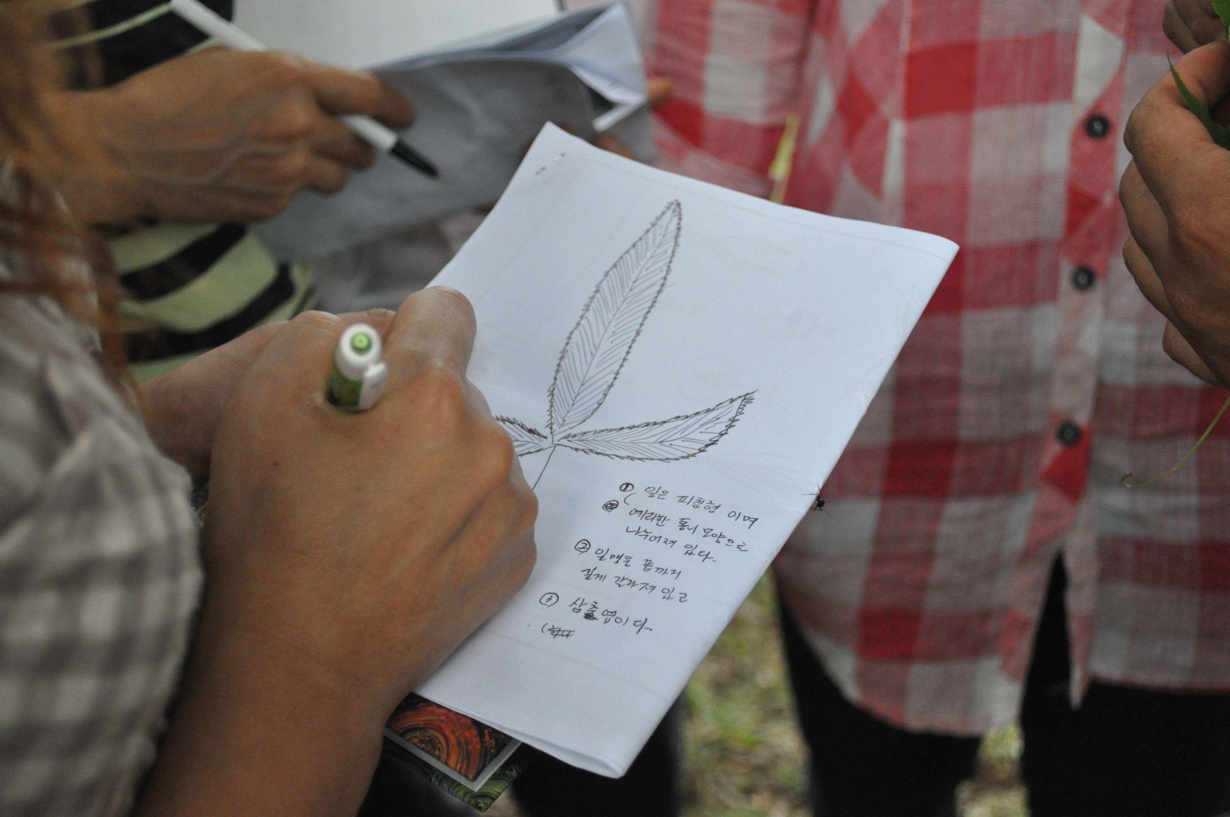 도시생활농업 활성화 생활원예 교육(2차수,2011.9.15)